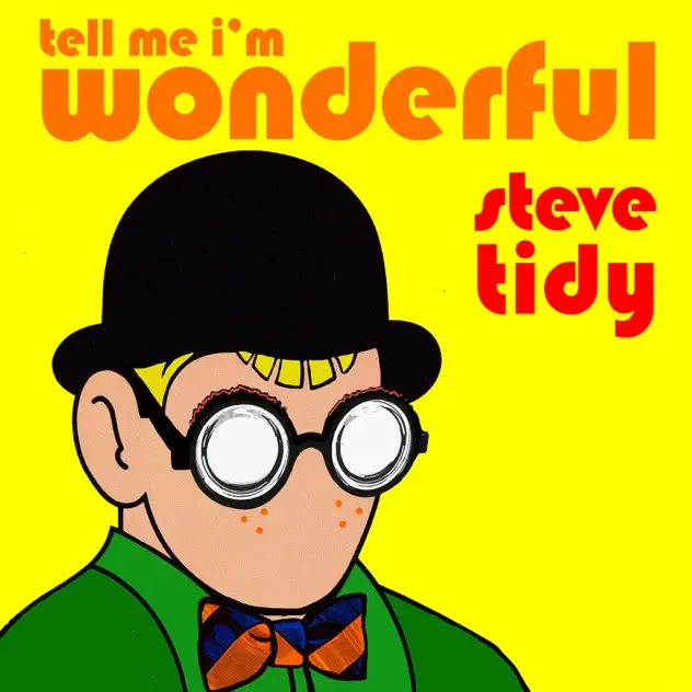 Steve Tidy - Tell Me I'm Wonderful